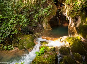 belize/mountain-pine-ridge/landmark/pacz-tours