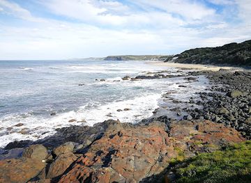 south-africa/wild-coast/landmark/cape-morgan-lighthouse