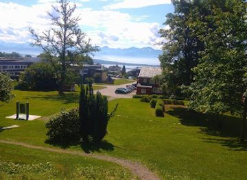 norway/molde/landmark/the-royal-birch