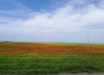 uzbekistan/jizzakh/landmark/zaamin-road