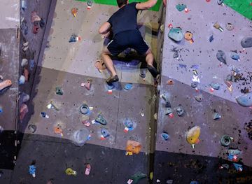 panama/panama-city/bella-vista/landmark/baboons-boulder-wall