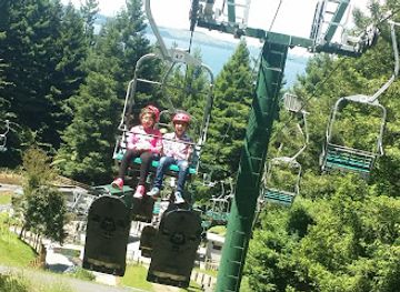 new-zealand/rotorua/landmark/mini-golf-rotorua-with-rabbits