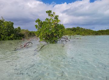 turks-and-caicos-islands/pine-cay/landmark/mangrove-cay