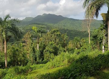 puerto-rico/luquillo/landmark/yunque-ziplining