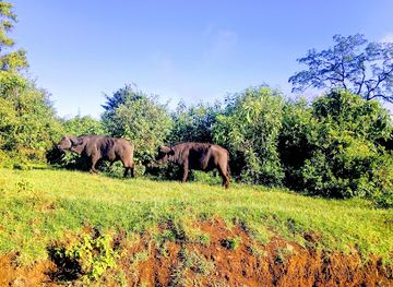 kenya/samburu-national-reserve/landmark/aberdare-national-park