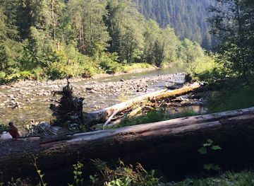 washington/mount-baker-snoqualmie-national-forest/landmark/mt-baker-national-forest