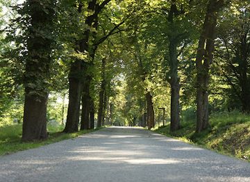 austria/vienna-woods/landmark/nikolaitor