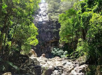 australia/northern-rivers/landmark/protesters-falls