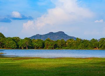 sri-lanka/minneriya-national-park/landmark/kandalama-bunt