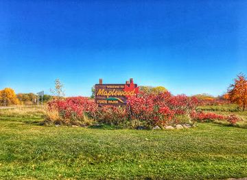 minnesota/otter-tail-lakes-country/landmark/maplewood-state-park