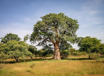 senegal/thies/landmark/bandia-reserve