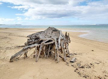 mauritius/bel-ombre/landmark/flamboyant