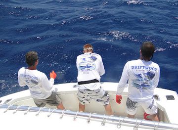 aruba/oranjestad/landmark/driftwood-fishing-charters-aruba