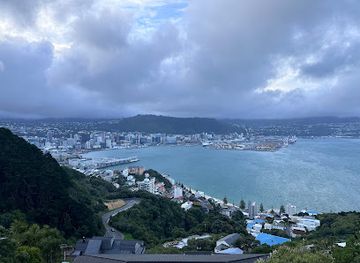 new-zealand/wellington/mount-victoria/landmark/mount-victoria-radio-tower