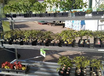 montana/lewistown/landmark/lewistown-ace-hardware