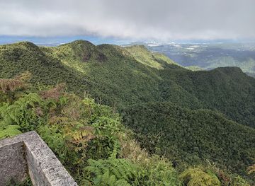 puerto-rico/yunque-national-forest/landmark/los-picachos
