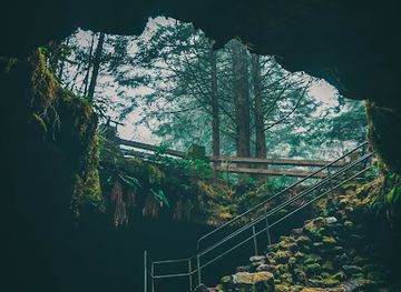 washington/mount-st-helens-area/landmark/ape-cave