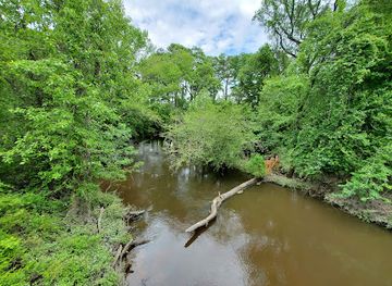 south-carolina/sandhills/landmark/congaree-creek-heritage-preserve