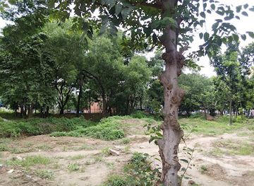 bangladesh/madhupur-tract/landmark/panthokunjo