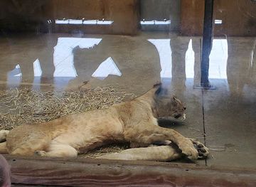 tennessee/knoxville-metropolitan-area/landmark/historic-riverdale-mill