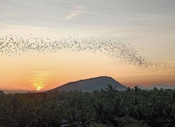 cambodia/battambang/sangkat-svay-por/landmark/kim-tours-battambang