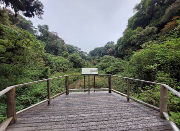 thailand/doi-inthanon/landmark/ang-ka-nature-trail