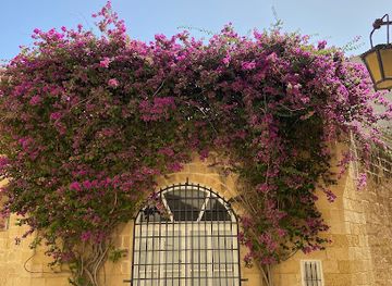malta/mdina/landmark/bench-with-flowers