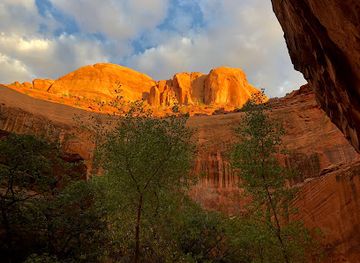 utah/dixie-national-forest/landmark/neon-canyon