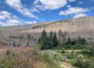 germany/harz/landmark/eckerlochstieg-brucke-uber-schwarzes-schluftwasser