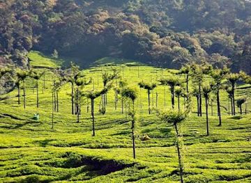 india/munnar/landmark/munnar-tourism-destination