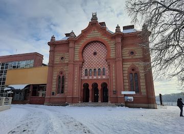 ukraine/uzhhorod/landmark/ash-tree-of-masaryk