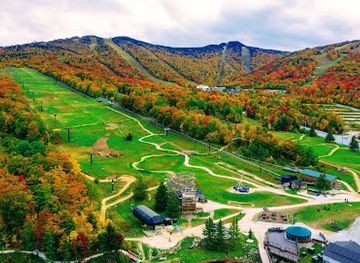vermont/killington/landmark/killington-bike-park