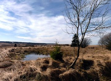 belgium/fagne-famenne/landmark/high-fens