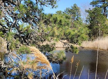 virginia/chincoteague-island/landmark/captain-timothy-hill-house