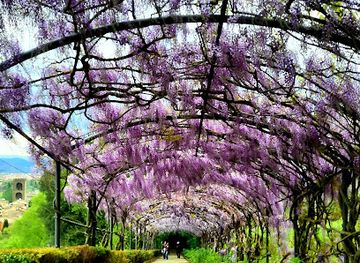 italy/mugello/landmark/giardino-bardini
