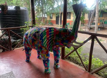 kenya/nairobi/karen/landmark/ocean-sole