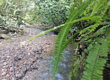 papua-new-guinea/mount-hagen/landmark/baiyer-river-sanctuary