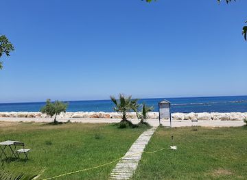 cyprus/latchi-beach/landmark/psaropoulos-fish-tavern