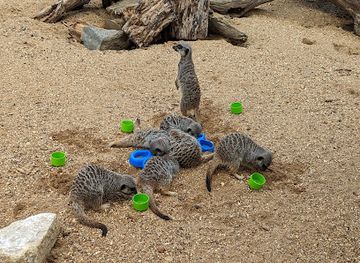 united-kingdom/berkshire/landmark/bca-zoo