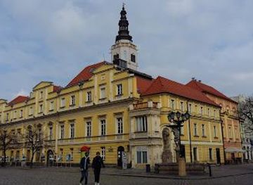 poland/wroclaw/landmark/town-hall-in-swidnica