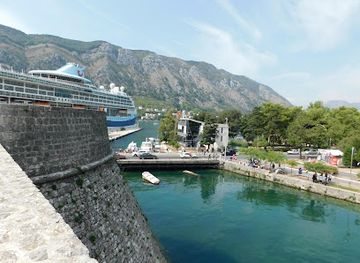montenegro/bay-of-kotor/landmark/cat-park