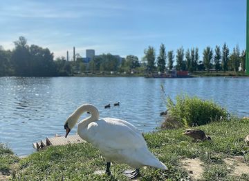 poland/rzeszow/landmark/ptasi-bufet