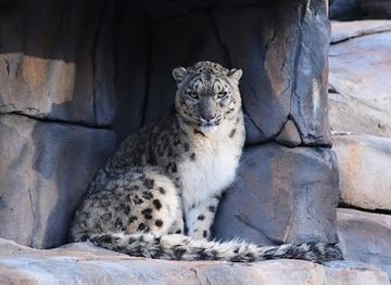 united-kingdom/west-lothian/landmark/five-sisters-zoo