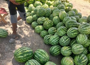 uzbekistan/kashkadarya-region/landmark/qashqadaryo-qamashi