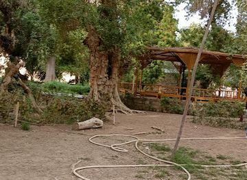 egypt/aswan/elephantine-island/landmark/plants-island-aswan