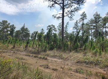 honduras/gracias-a-dios-region/landmark/tipi