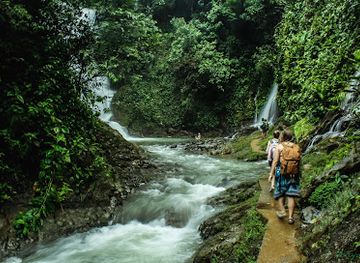 costa-rica/manuel-antonio/landmark/los-campesinos-ecolodge