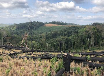 cambodia/mondulkiri/landmark/kouprey-roundabout
