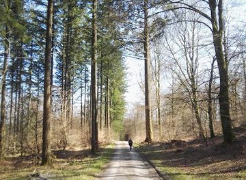 denmark/rebild-national-park/attraction/midt-inde-i-rold-skov