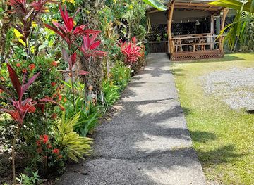 costa-rica/cahuita-national-park/landmark/le-colibri-rouge-hotel-cabinas